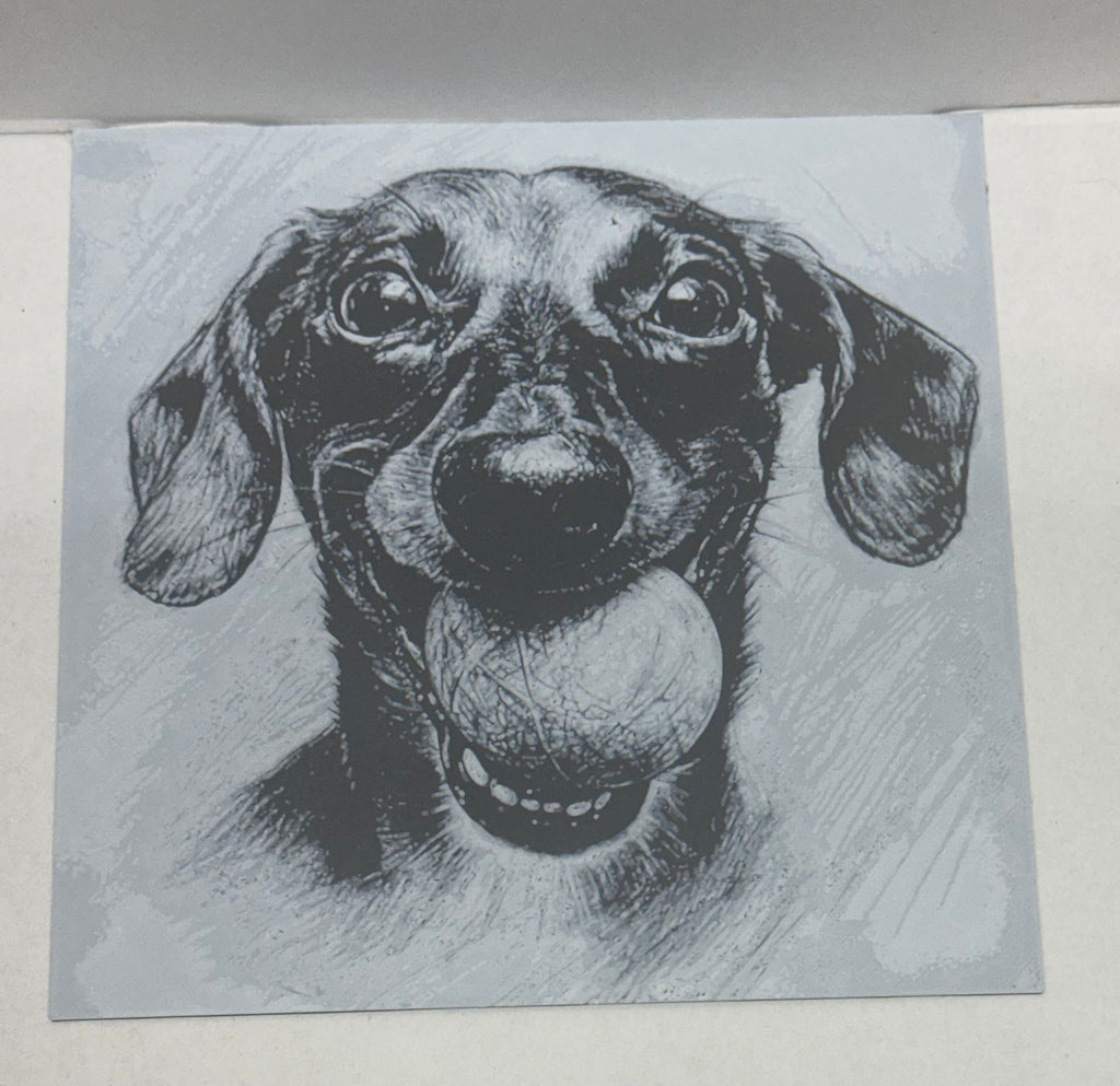 Dachshund with tennis ball - 3D art print
