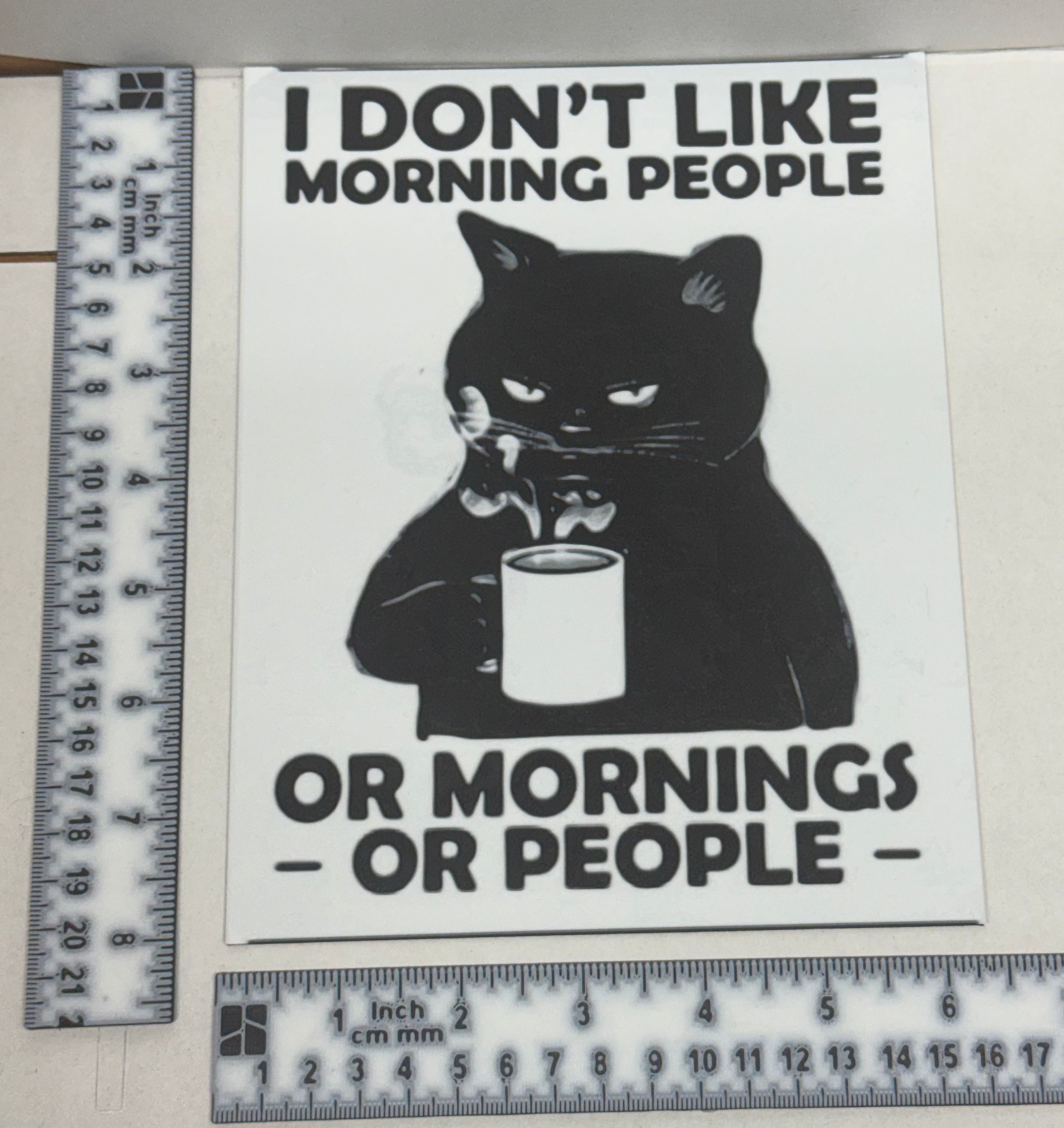 Funny Meme Cat I Don't Like Mornings - 3D Printed (Painting)