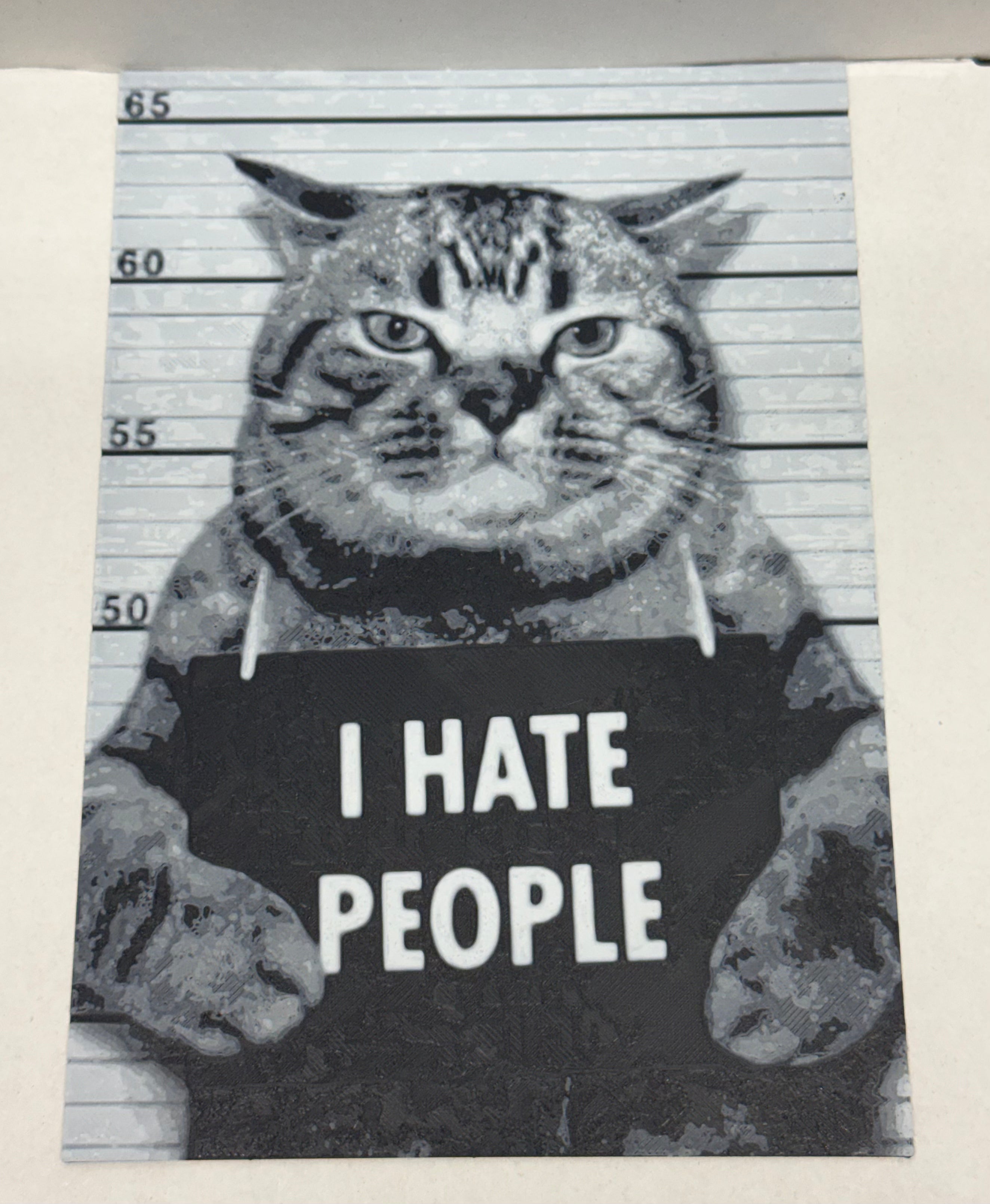 Funny Meme Cat "I Hate People" - 3D Printed (Painting)