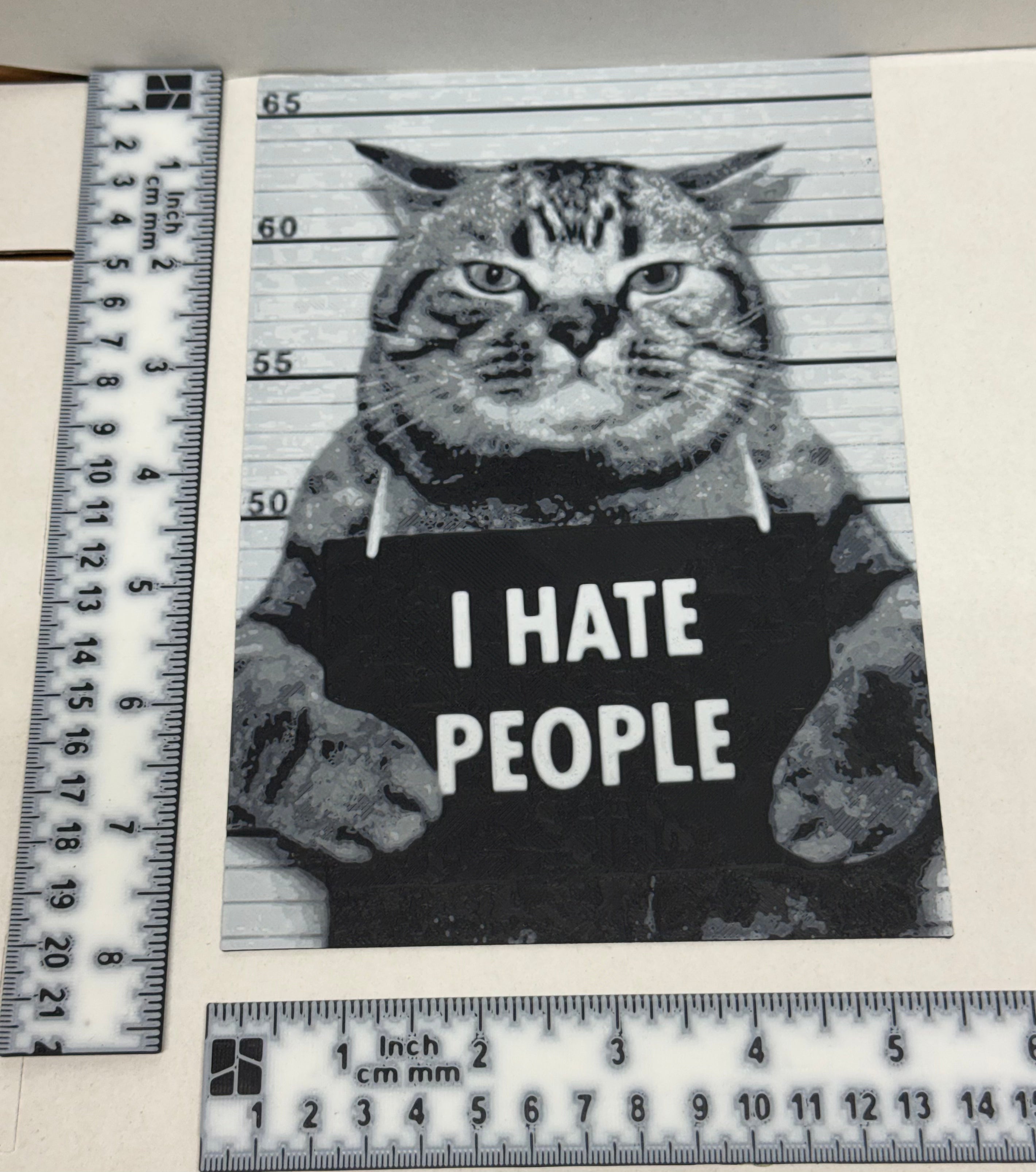 Funny Meme Cat "I Hate People" - 3D Printed (Painting)